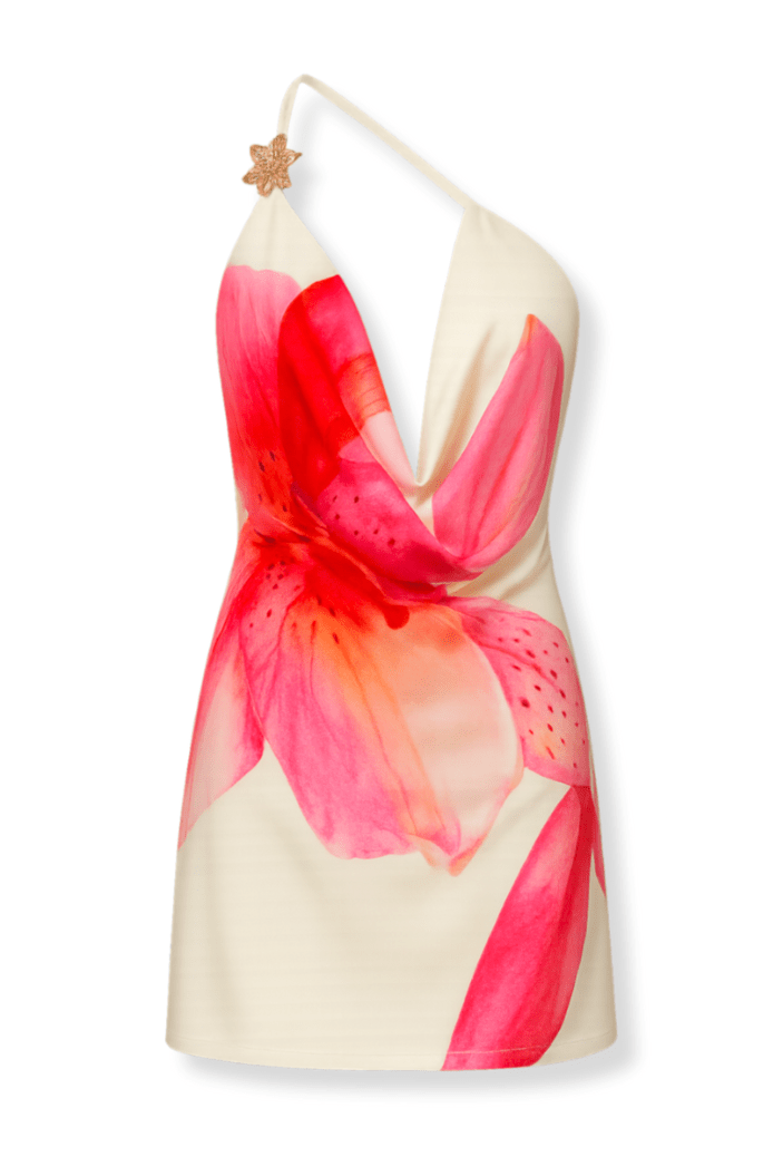 Vestido Floral Rosa - Arizona